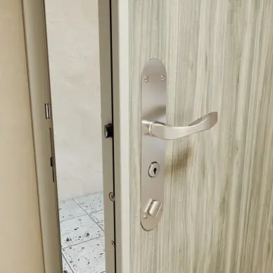 Porte blindée Picard Serrures Diamant 10 - 2
