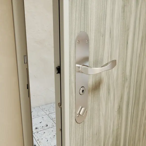 Porte blindée Picard Serrures Diamant 10