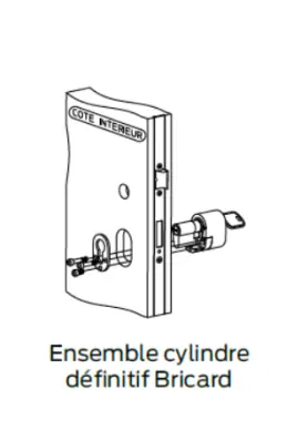 Cylindre Bricard DUAL XP 30/40 + protecteur A2P2**