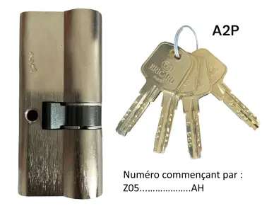 Cylindre sécurisé BRICARD A2P* SERIAL 40/30 mm - 1