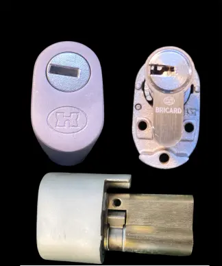 cylindre serrure avec protecteur DUAL XP2 BRICARD A2P** - 1
