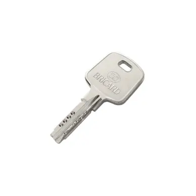 Ensemble cylindre-protecteur SERIAL BRICARD A2P* - 2