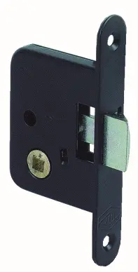 Serrure JPM 255000 à petit coffre à bec de cane axe 40 mm - 2