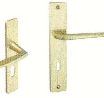 Ensemble Poignées sur plaque champagne rehaussé à l'extérieur