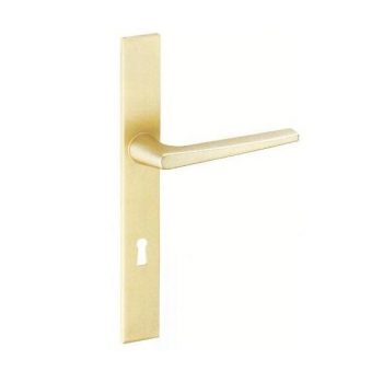 Ensemble poignées sur plaque étroite champagne EA 70