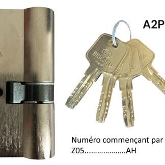 cylindre-securise-BRICARD-serial-A2P