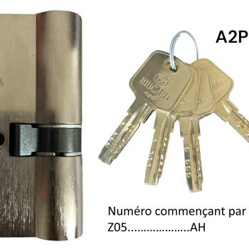 cylindre-securise-BRICARD-serial-A2P