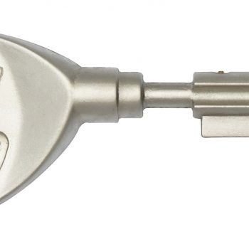 Picard Clé A2P *** Vigie Mobile