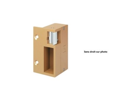 Gache-electrique-290-version-B-12V-AC-DC-EFF-EFF-en-applique-horizontale-droite-290B-00090